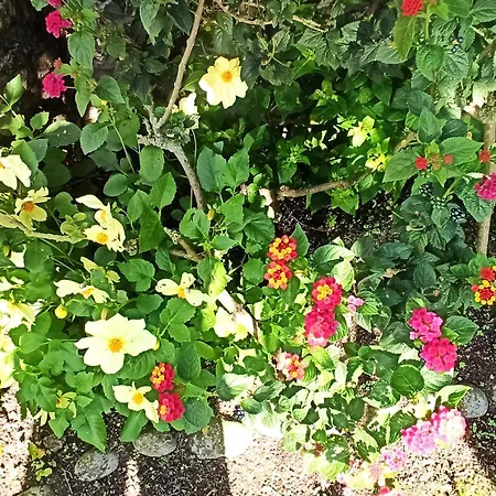 Hostel Playa De Langre (Cantabria)