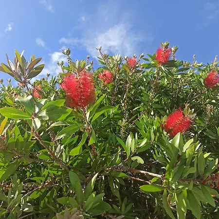 Playa De Langre (Cantabria)