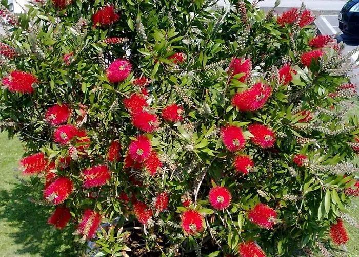 Playa De * Langre (Cantabria)