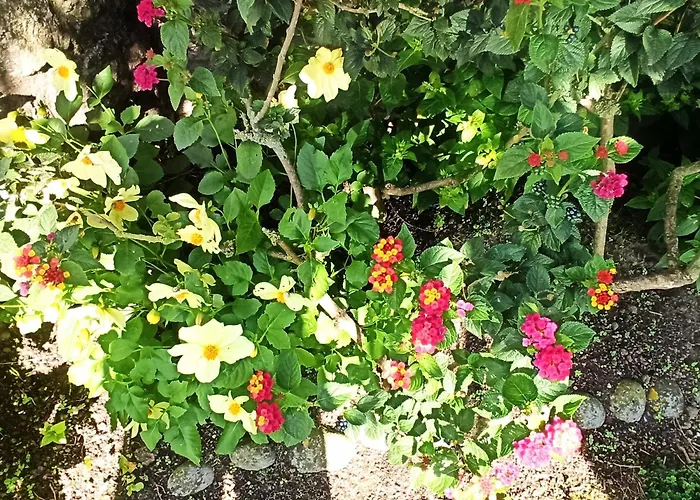 Hostel Playa De Langre (Cantabria)