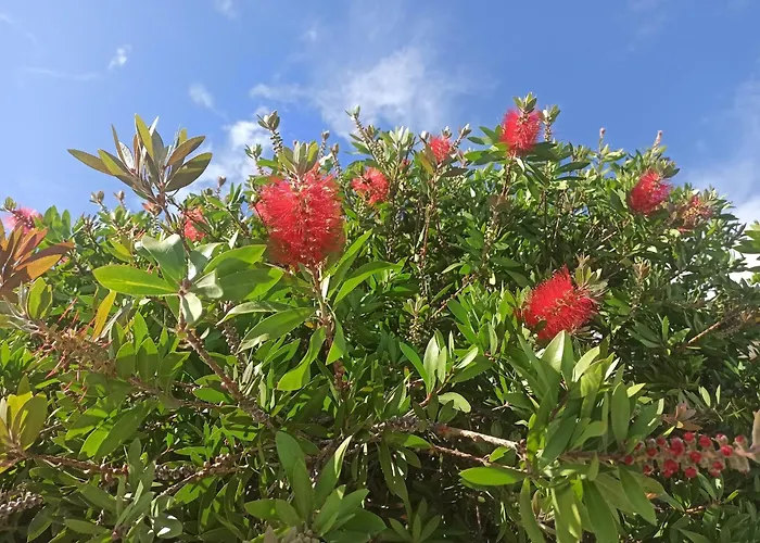 Playa De Langre (Cantabria)